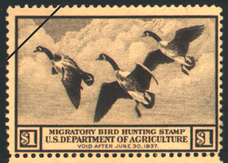 Map, fishing maps, charts, info and gear for fly fishing , anglers, and outdoors sportsmen.