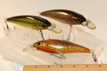 Very nice saltwater lures