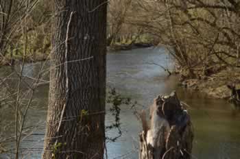 Roanoke River at Lafayette