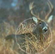 Map, fishing maps, charts, info and gear for fly fishing , anglers, and outdoors sportsmen.