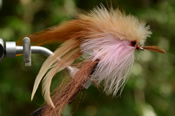 Fine Fly Fishing Equipment