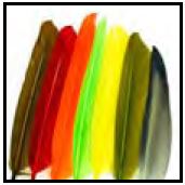 Fine Fly Fishing Equipment