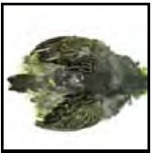 Fine Fly Fishing Equipment