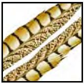 Fine Fly Fishing Equipment