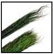 Fine Fly Fishing Equipment