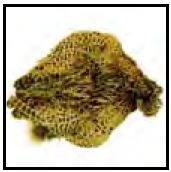 Fine Fly Fishing Equipment