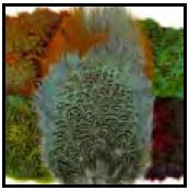 Fine Fly Fishing Equipment