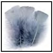 Fine Fly Fishing Equipment